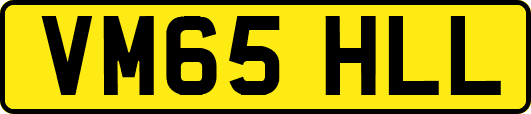 VM65HLL