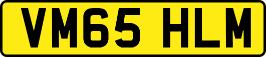 VM65HLM