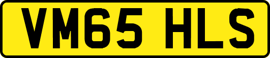 VM65HLS