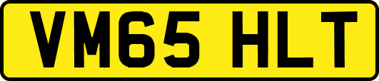 VM65HLT