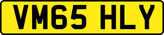 VM65HLY