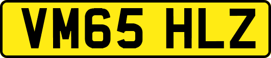 VM65HLZ