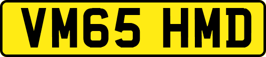 VM65HMD