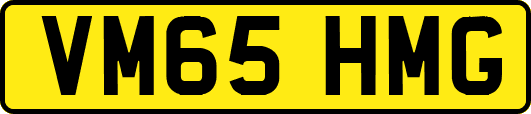 VM65HMG