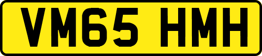 VM65HMH