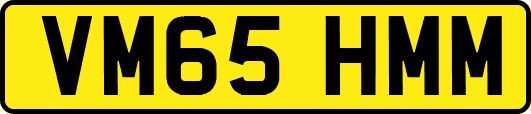 VM65HMM