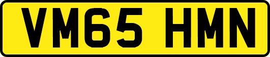 VM65HMN