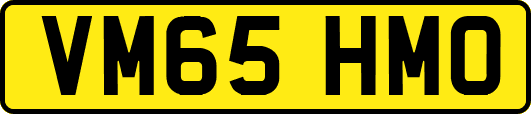 VM65HMO