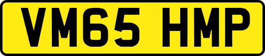 VM65HMP