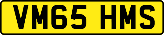 VM65HMS