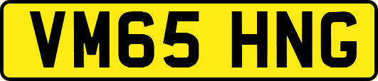 VM65HNG
