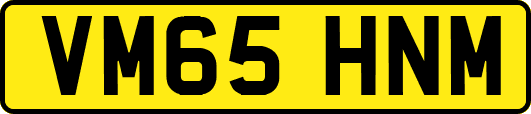 VM65HNM