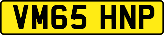 VM65HNP