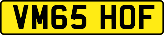 VM65HOF
