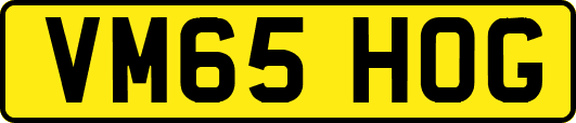 VM65HOG