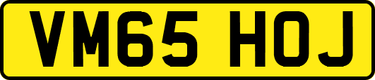 VM65HOJ