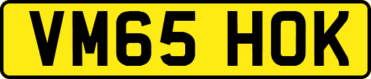 VM65HOK