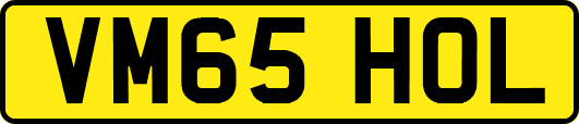 VM65HOL