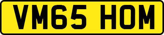 VM65HOM