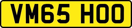 VM65HOO