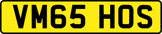 VM65HOS