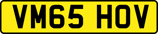 VM65HOV