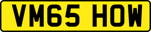 VM65HOW