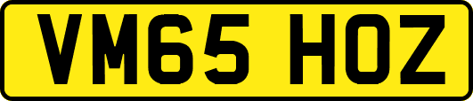 VM65HOZ