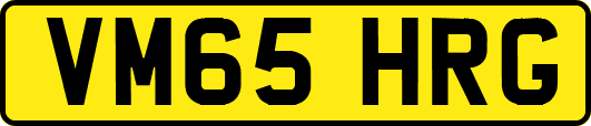 VM65HRG