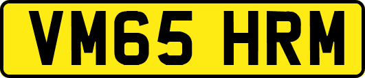 VM65HRM