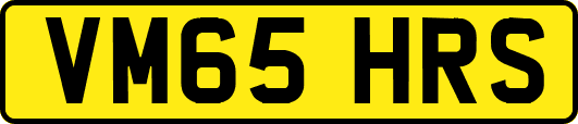 VM65HRS