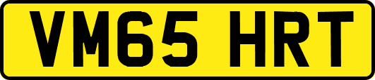 VM65HRT