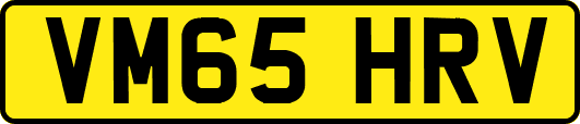 VM65HRV