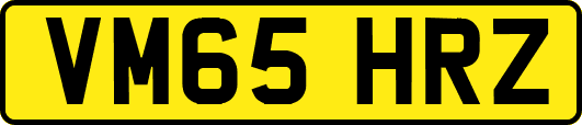 VM65HRZ