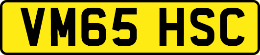 VM65HSC