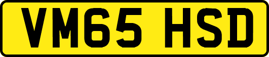 VM65HSD
