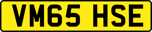 VM65HSE