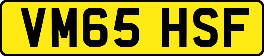 VM65HSF