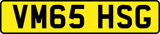 VM65HSG