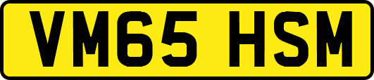 VM65HSM