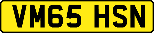 VM65HSN