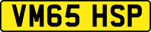 VM65HSP
