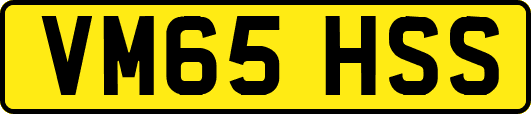 VM65HSS