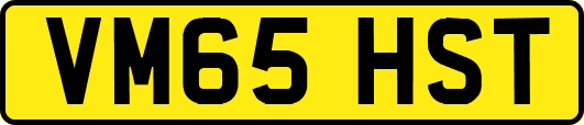 VM65HST
