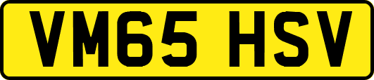 VM65HSV