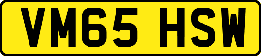 VM65HSW