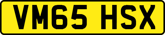 VM65HSX