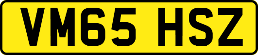 VM65HSZ