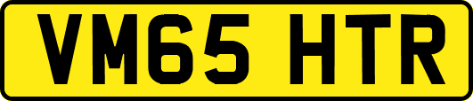 VM65HTR