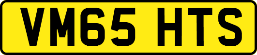 VM65HTS